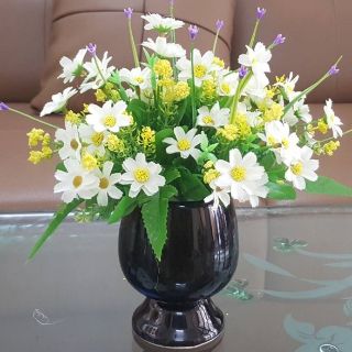Cúc dại. 12k