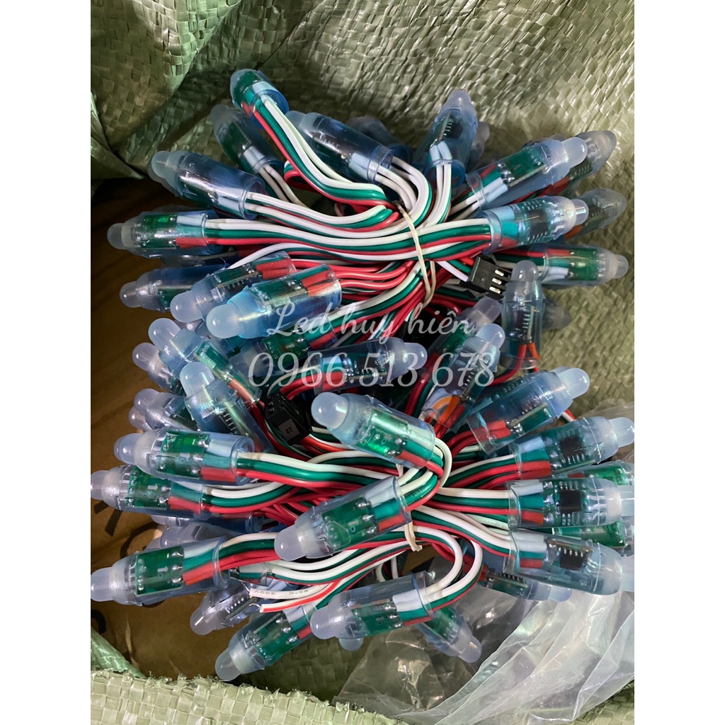 Led Full IC 1903, 2811, 1916, 8206 ngoài trời, led đúc F8 full color (Dây 50 LED)