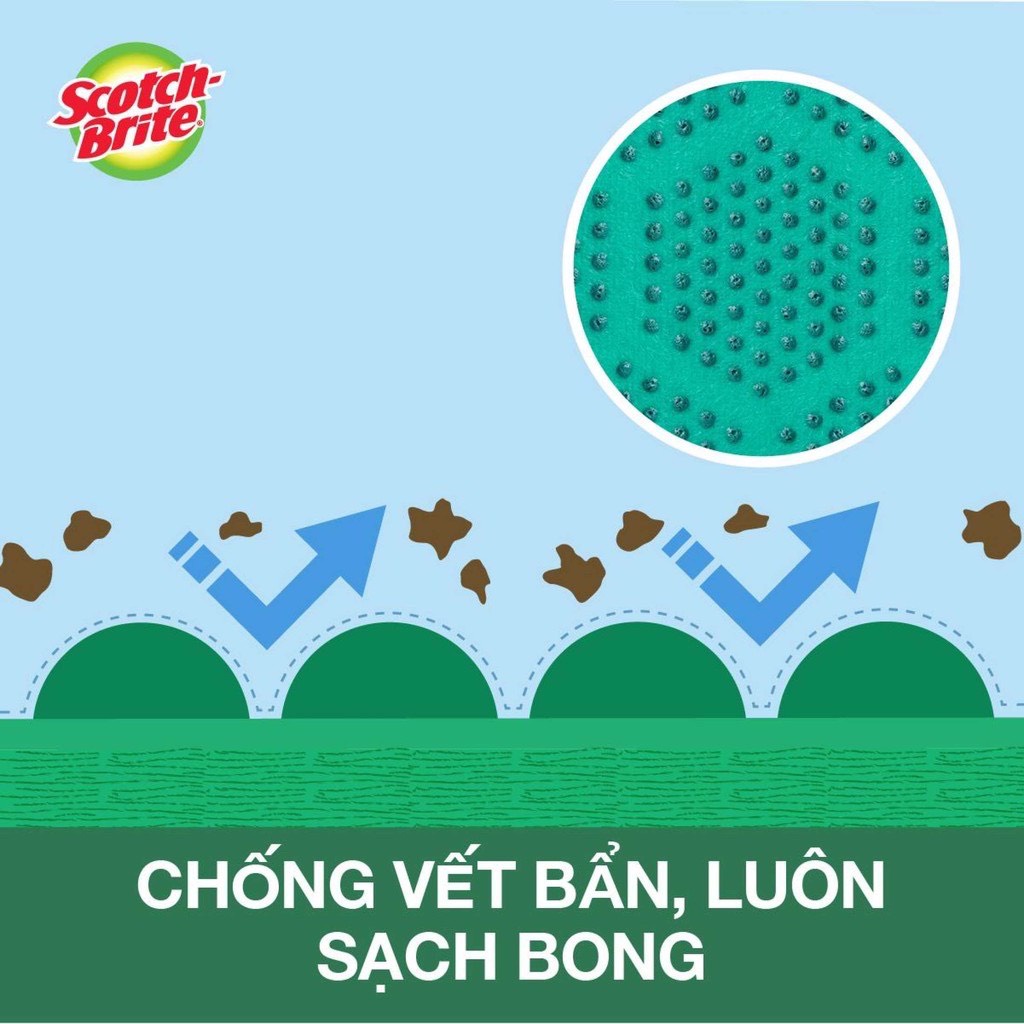 [Chính hãng] Miếng mút rửa bát hạt nổi Scotch-Brite 3M Thái Lan