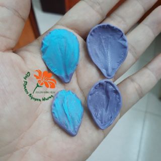 Set 2 Gân Cánh Hoa Mai