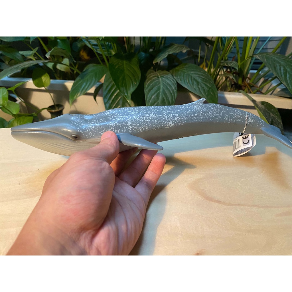 Mô hình động vật: Cá Voi Xanh