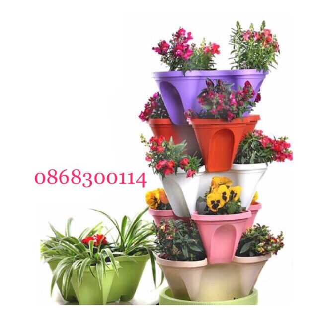 Combo 5 chậu hoa tầng Việt Nhật ( màu trắng)