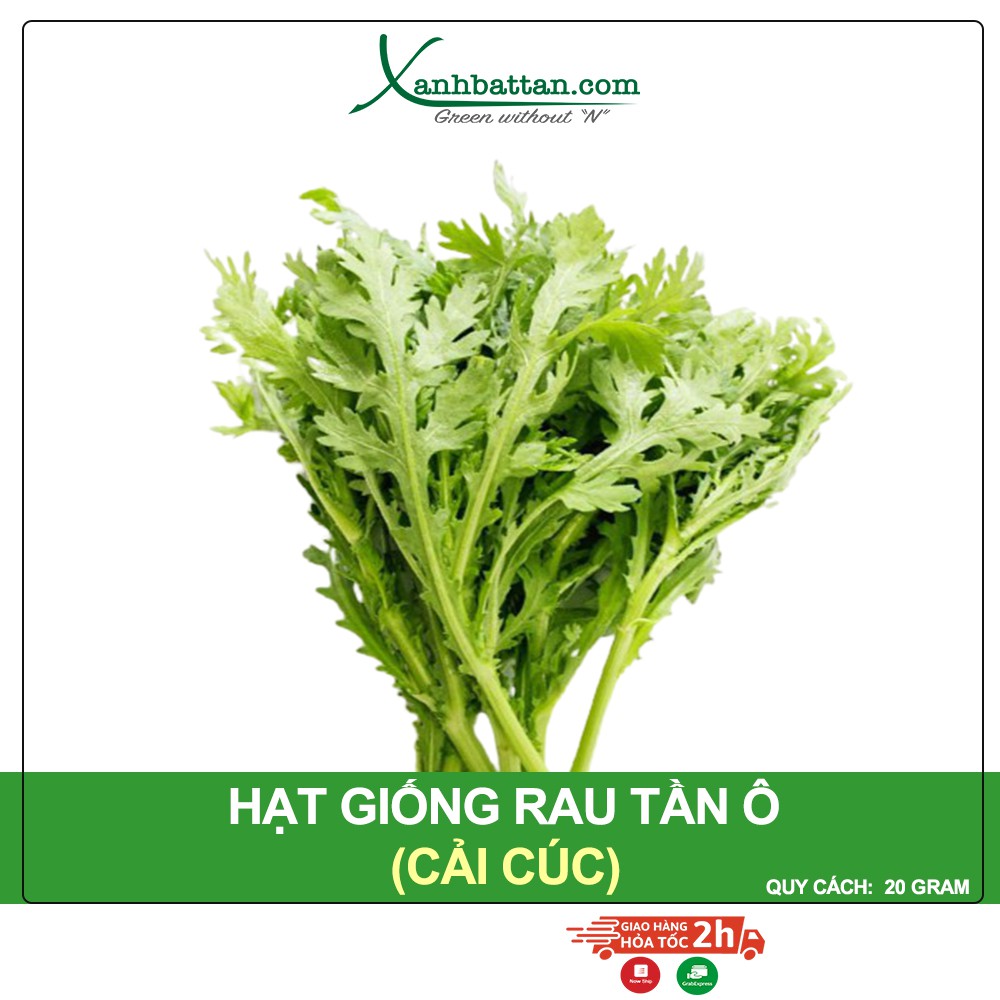 Hạt Giống Rau Tần Ô Phú Nông Gói 20 Gram