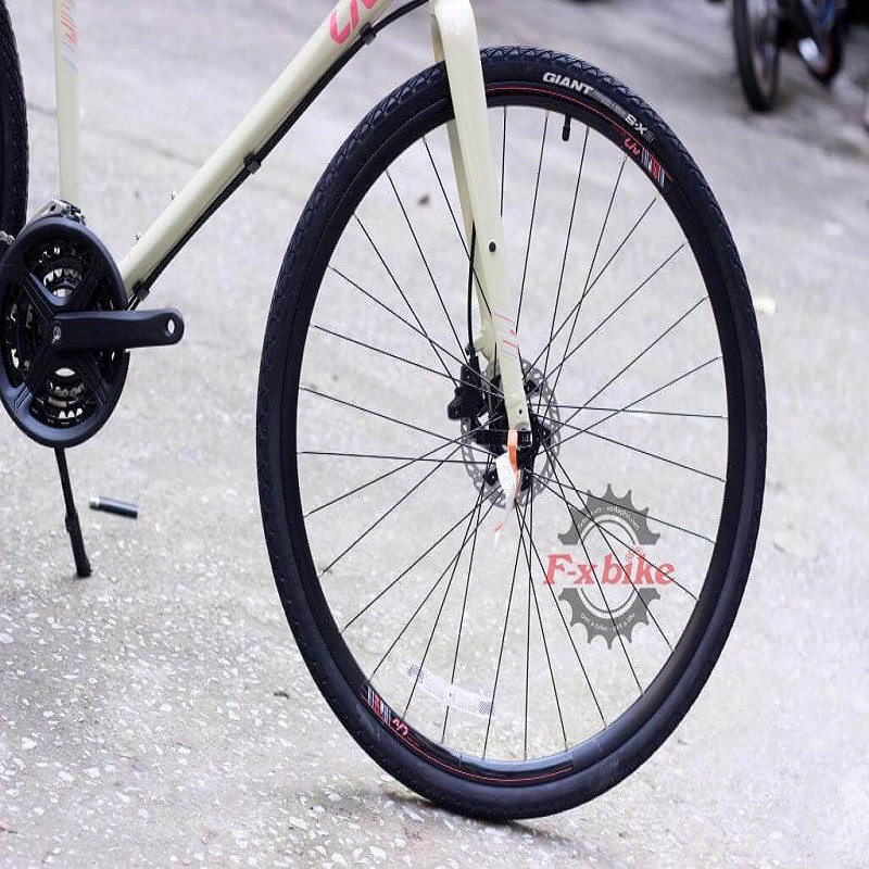 Xe đạp thể thao địa hình GIANT Touring Liv Alight 1 2020 - tặng chắn bùn, bình nước kèm giá để và chân chống