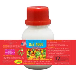 Siêu Bụng Đọt, Xanh Lá, Đẻ nhánh, Đâm chồi, Lớn Trái, Phân bón lá GA3 4000 (250ml)