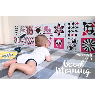 COMBO bộ kích thích thị giác