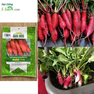 Củ Cải Đỏ Dài RĐ 715