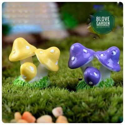 Cây Nấm chùm làm phụ kiện sen đá, xương rồng, terrarium, charm slime