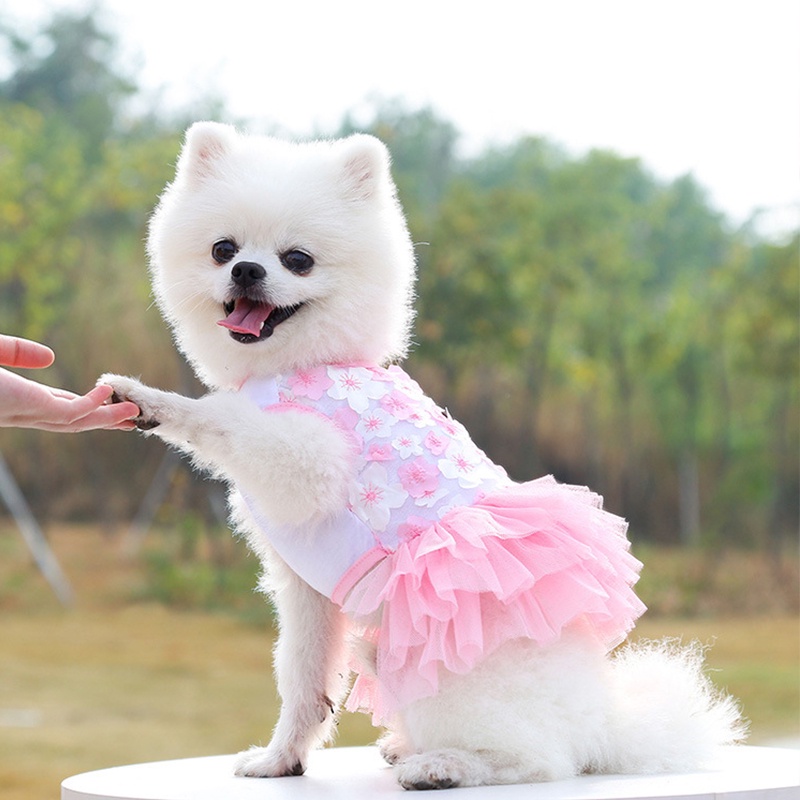 Đầm Vải Gạc Phối Ren Dễ Thương Thời Trang Mùa Hè Cho Thú Cưng