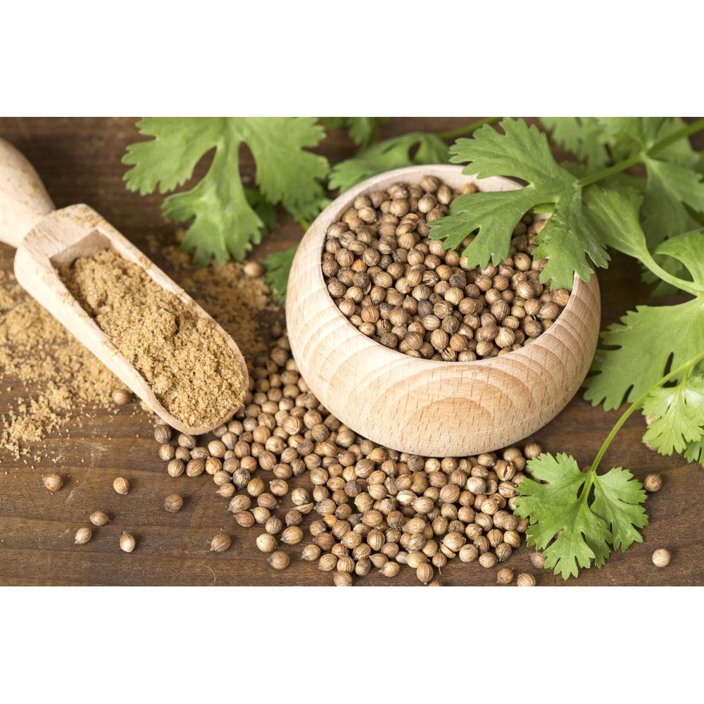 [HÀNG CHÍNH HÃNG] Hạt Ngò Khô Gói 10gr - Coriander Whole