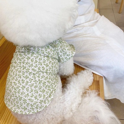 Áo tay bèo hoa nhí dành cho thú cưng