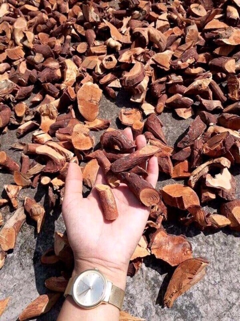 2KG Cây Mú Từn - Cù Boong Lậu