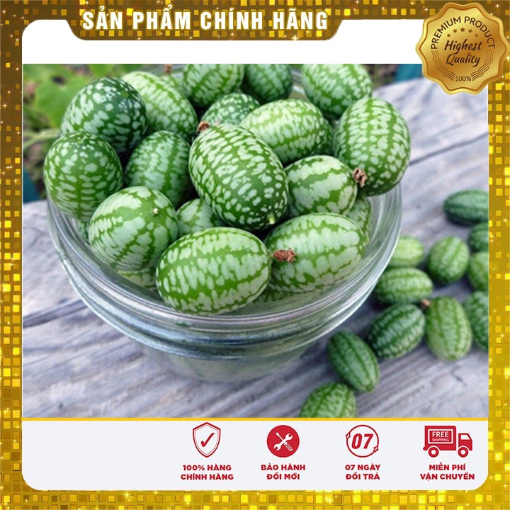 Hạt Giống Dưa Hấu Mini ( 10 hạt )