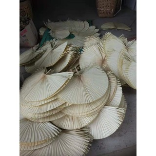 Lá cọ khô trang trí