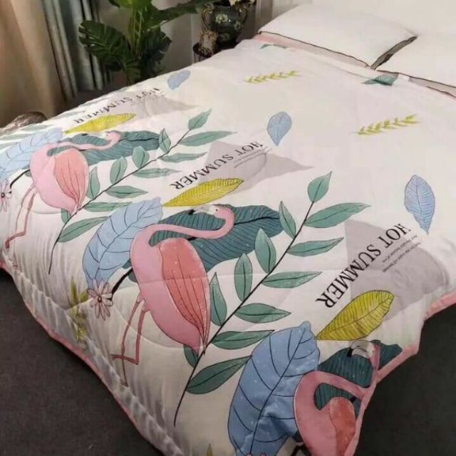 Combo 10 chăn Zarahome