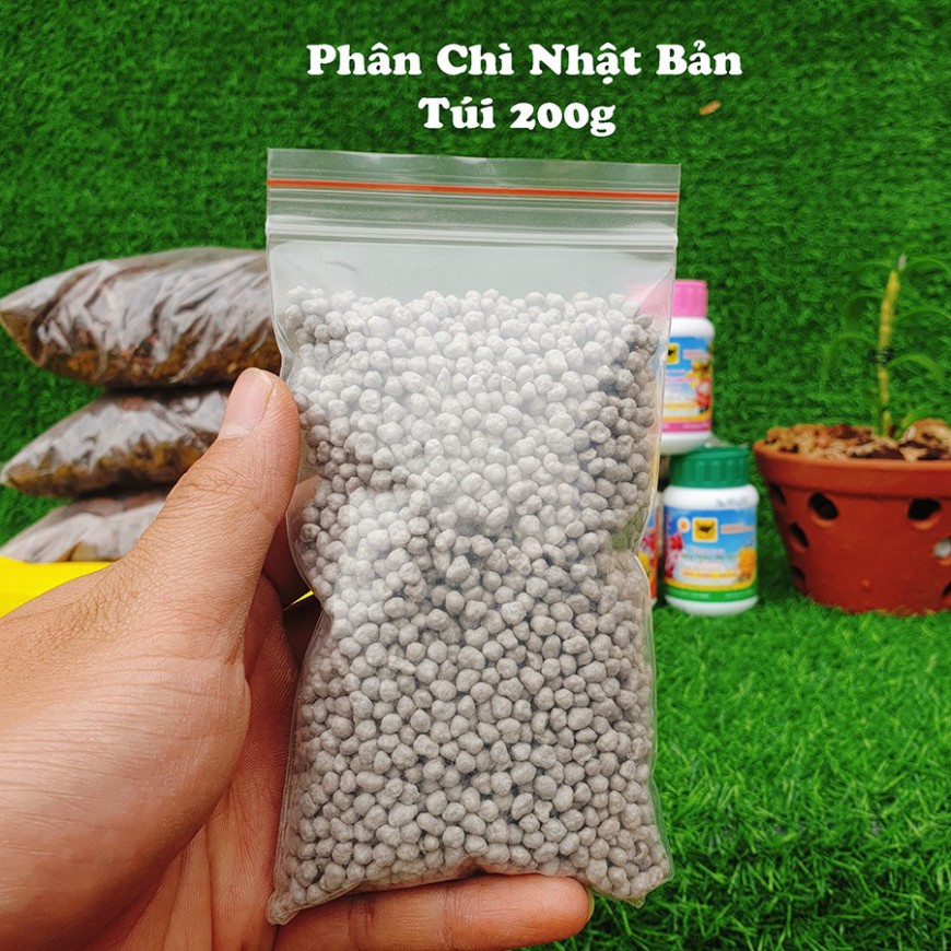 Giá Thể Trồng Lan ⭐ Chọn Bộ Đầy Đủ ⭐Vật Tư + Phân Thuốc Giá Thể Trồng 10 Chậu Lan [ Cho Người Biết Chơi ]]