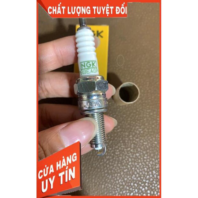 Bugi bạch kim NGK chân dài