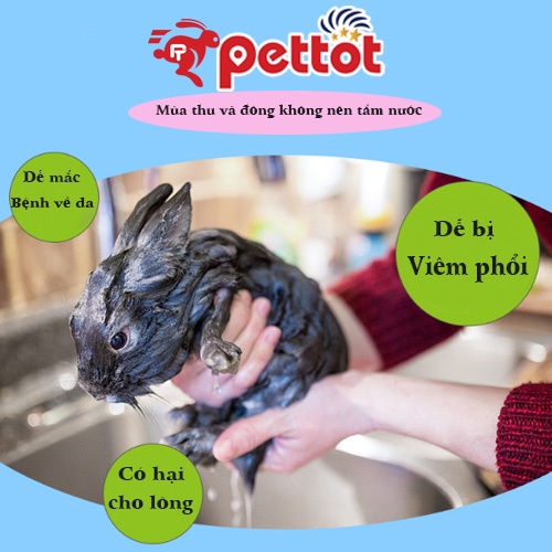 Phấn tắm khô cho thỏ, hamster, bọ ú , nhím cảnh cao cấp Thương hiệu