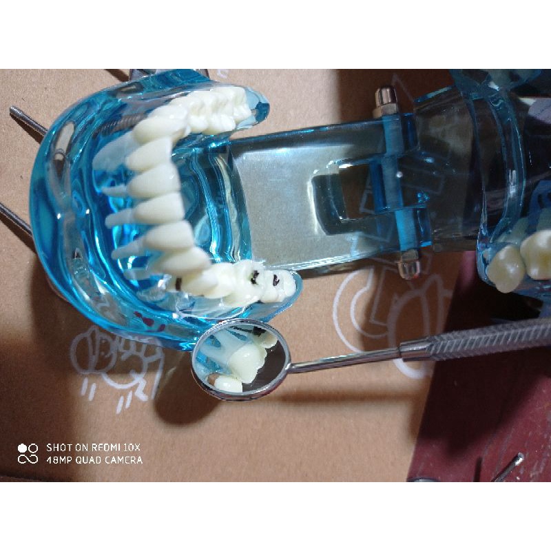 12 chiếc mặt gương rời chuẩn parkistan