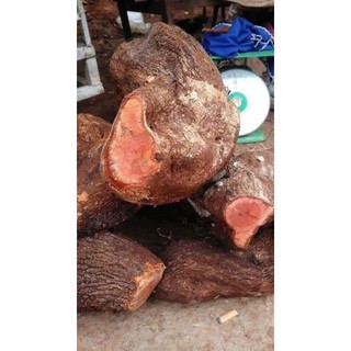 sỉ toàn quốc tầm gửi nghiến tươi 1kg