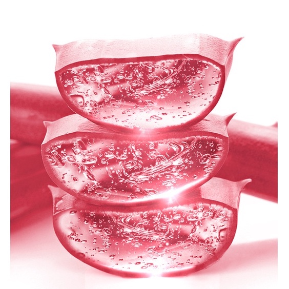 Gel dưỡng ẩm Jomtam chiết xuất lô hội và tinh chất hoa anh đào 300G..