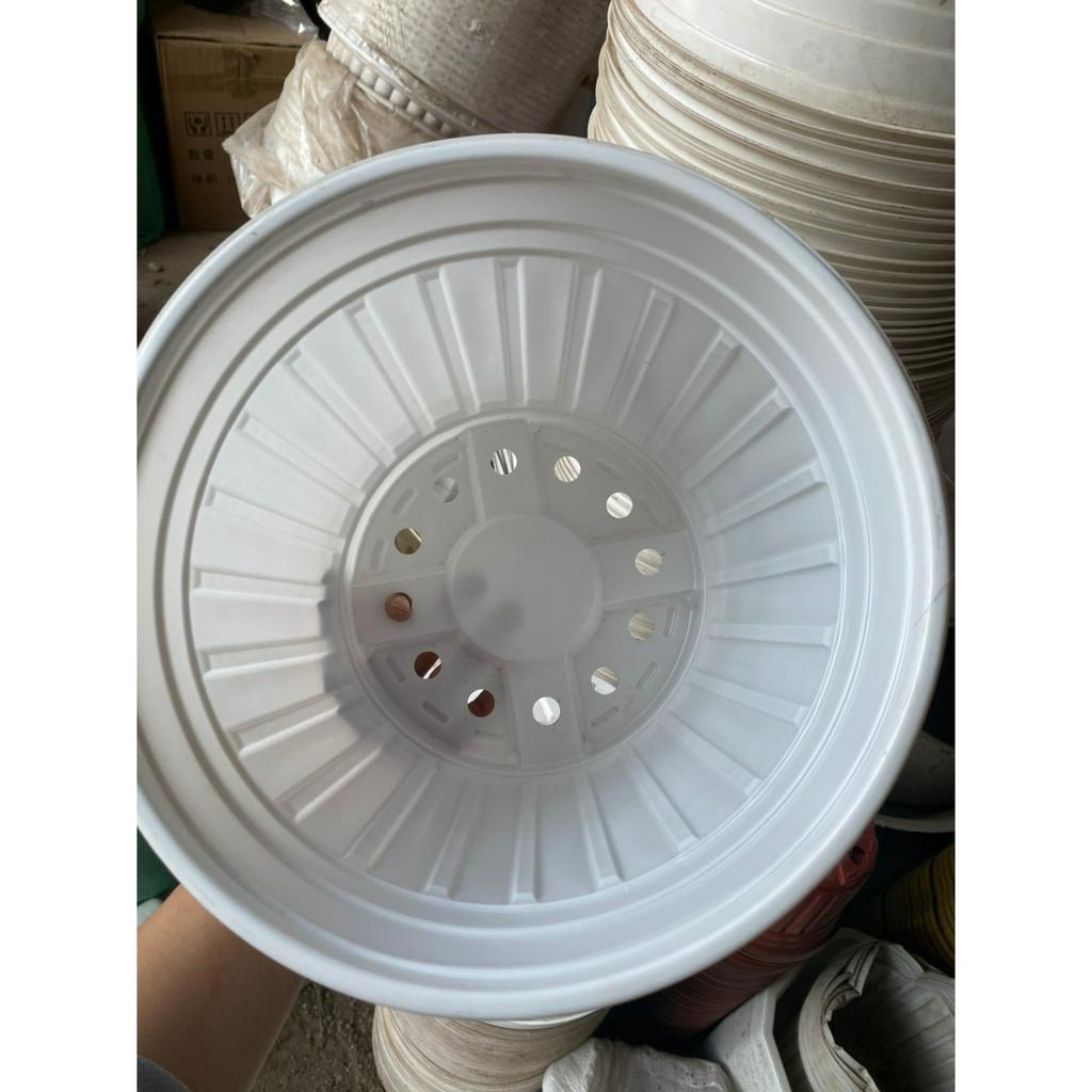 Chậu nhựa mỏng vành cứng trồng cây-Chậu nhựa TTK 150, TTK 180, TTK 200, TTK 230, TTK 260, TTK 280
