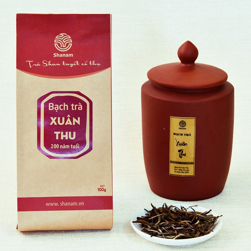 Bạch Trà Xuân Thu - Cây chè Shan Tuyết Cổ Thụ hơn 100 năm tuổi TÀ XÙA 1T-2L 150G