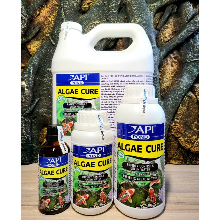 API - Algae Cure - Vi sinh ăn tảo Sống và kết tụ mây siêu trong, tiêu hao NO3 & PO4 nước Ngọt & Mặn