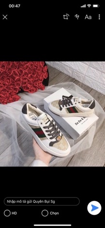 Sneaker GC