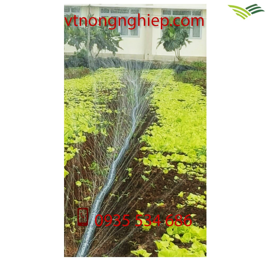 Ống tưới phun mưa phi 34 có mép biên, đục 5 lỗ chéo, cuộn dài 200m, hàng dày, độ bền 3-4 năm, hiệu Nguyễn Tân