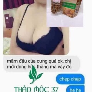 Combo 5 hộp KẸO MẦM LÚA MẠCH GOLD ( kẹo nở ngực)