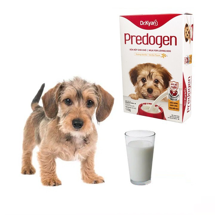 Sữa Bột PRECATEN PREDOGEN DR.KYAN Cho Chó Mèo Hộp 110g - iPet Shop