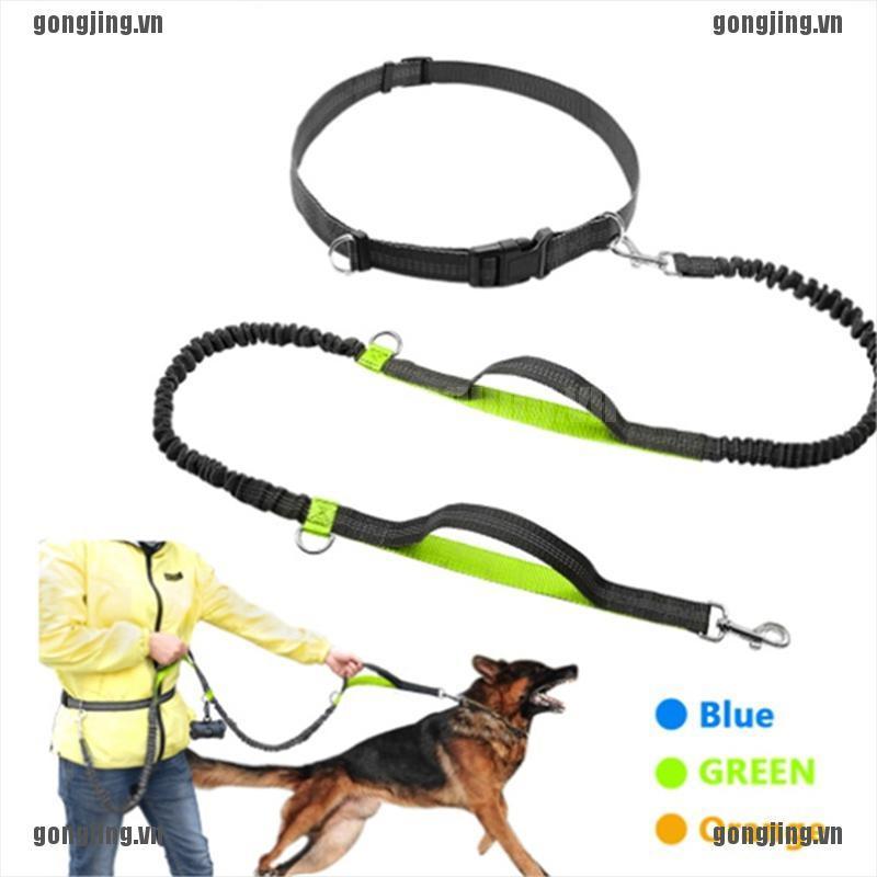 GONJ Pet Dog Running Belt Elastic Leash Traction Rope Jogging Pull Dog Leash