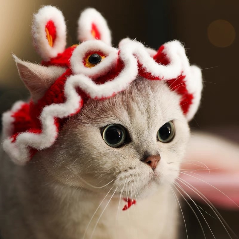 Nón len lân mặc tết cho mèo, cún, thỏ,…