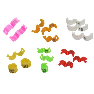 Set 20 Vòng Đeo Chân Cho Chim Bồ Câu Bằng Nhựa 2.7 / 3 / 4 / 4.5 / 5mm
