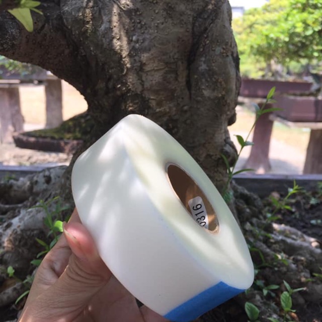 Băng keo ghép cành cây tự dính