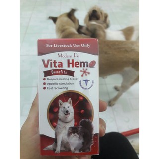 Thuốc Bổ Máu, Kích Thích Thèm Ăn Vitahem