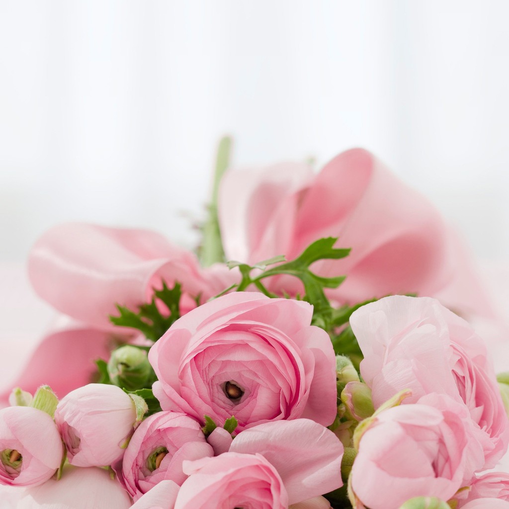 Store Mỹ Phẩm Làm Đẹp