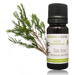 Tinh dầu Tea tree AROMA ZONE- Melaleuca alternifolia