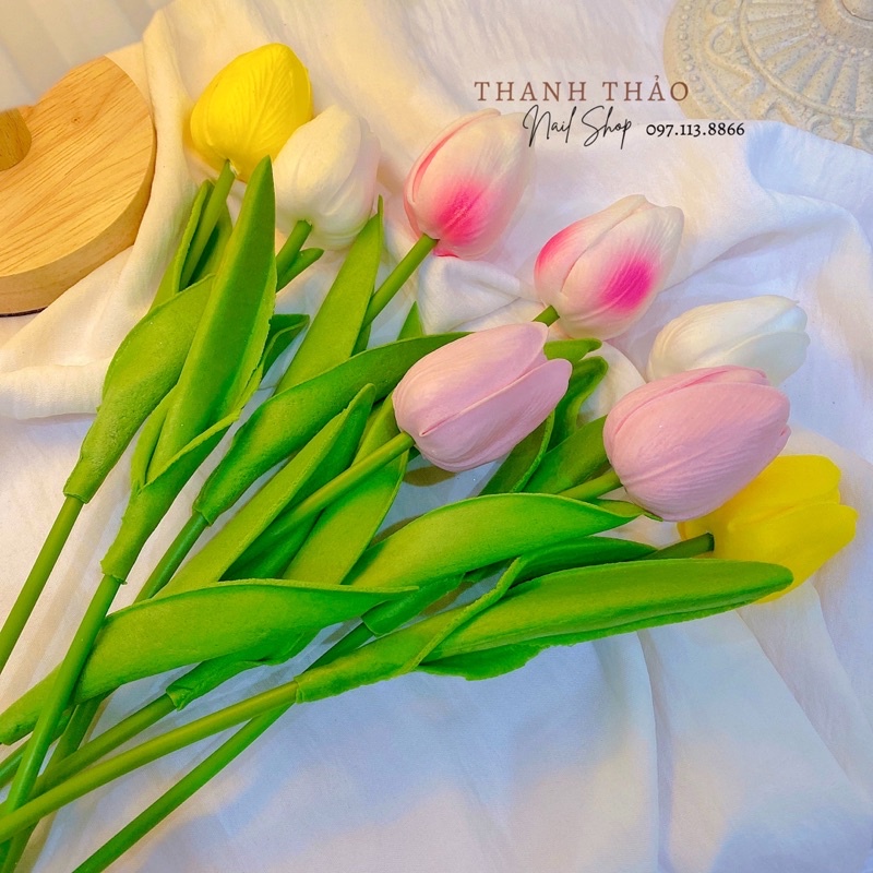 Hoa tulip phụ kiện chụp ảnh siêu xinh