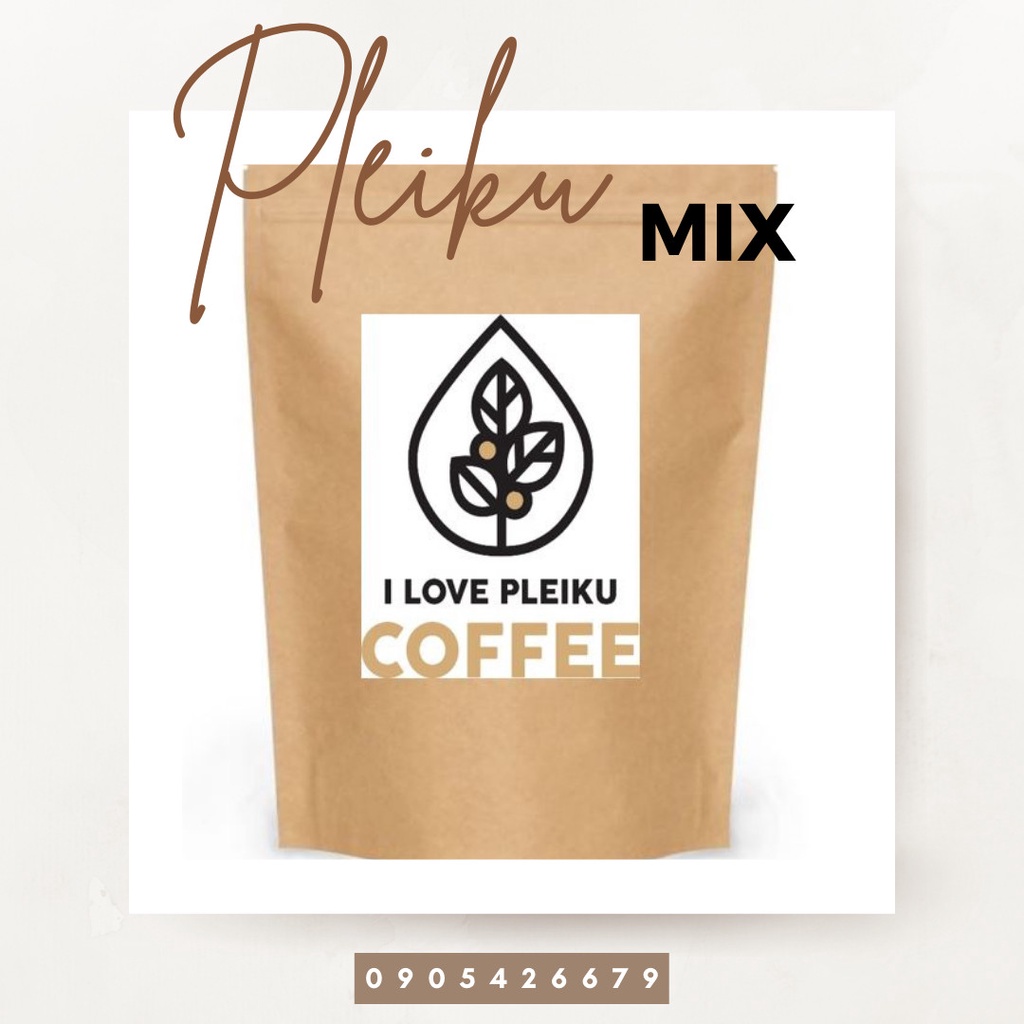 Cà phê hạt rang xay nguyên chất 100% Pleiku mix đủ loại hạt hương vị tuyệt hảo