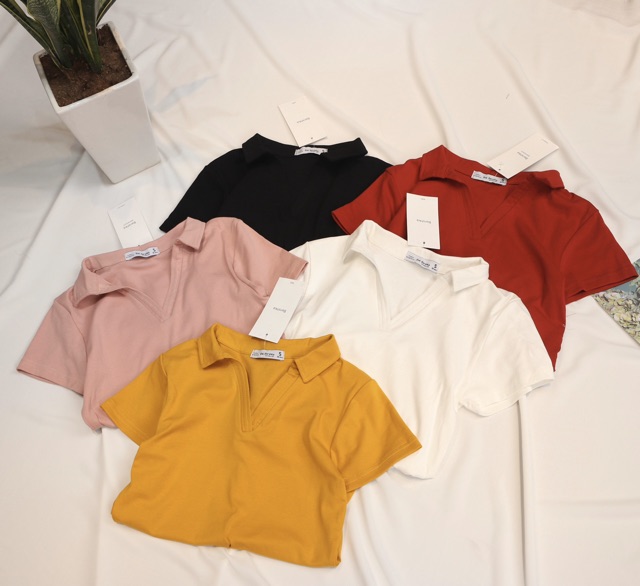 Áo thun bozip - kiểu áo có cổ đức