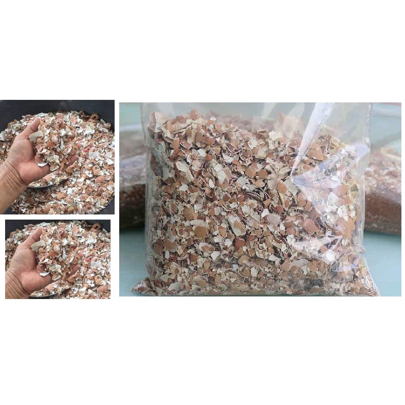 Vỏ trứng dùng để trộn đất bón cho cây trồng