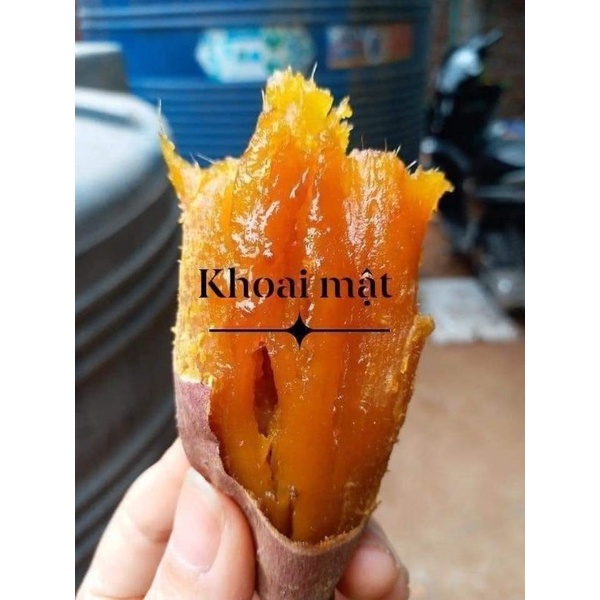 Sỉ, lẻ các tỉnh Khoai lang mật chuẩn Lộc Bình - Lạng Sơn (20k/ 1kg)