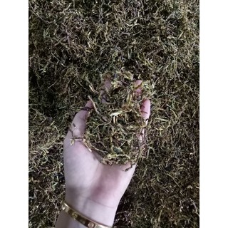 Trà sơn mật hồng sâm 500g