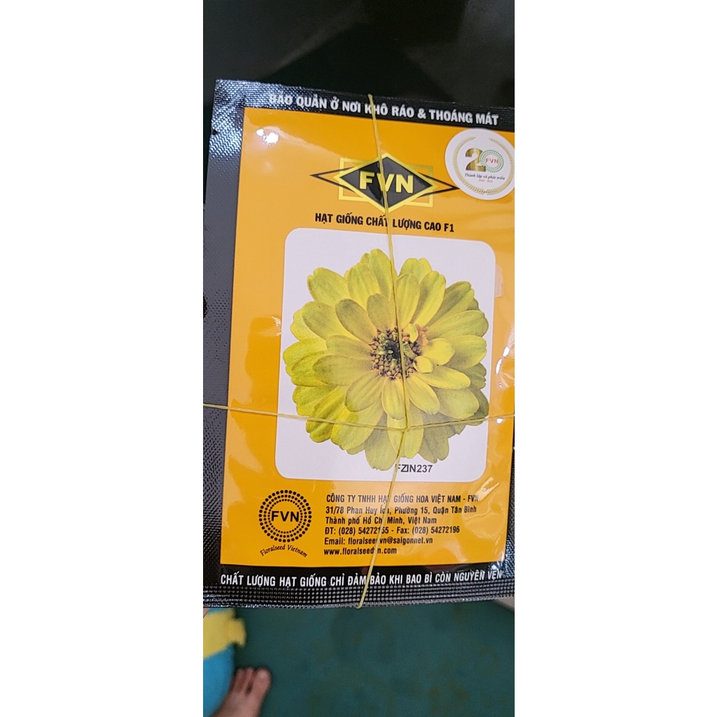 Hạt giống cúc lá nhám kép ZINNIA FVN FZIN237 Double Profusion Yellow gói 20 hạt