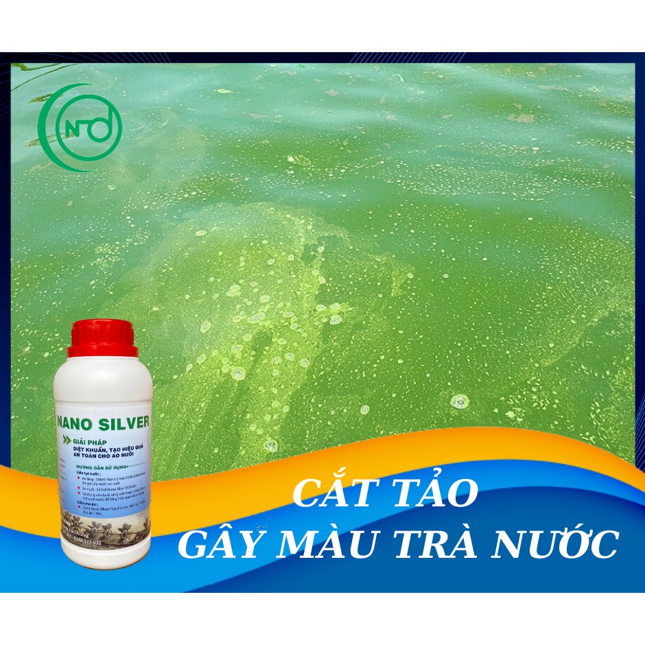 Nano bạc diệt khuẩn ao tôm 500ml - trị phân trắng, ao tôm mùi tanh