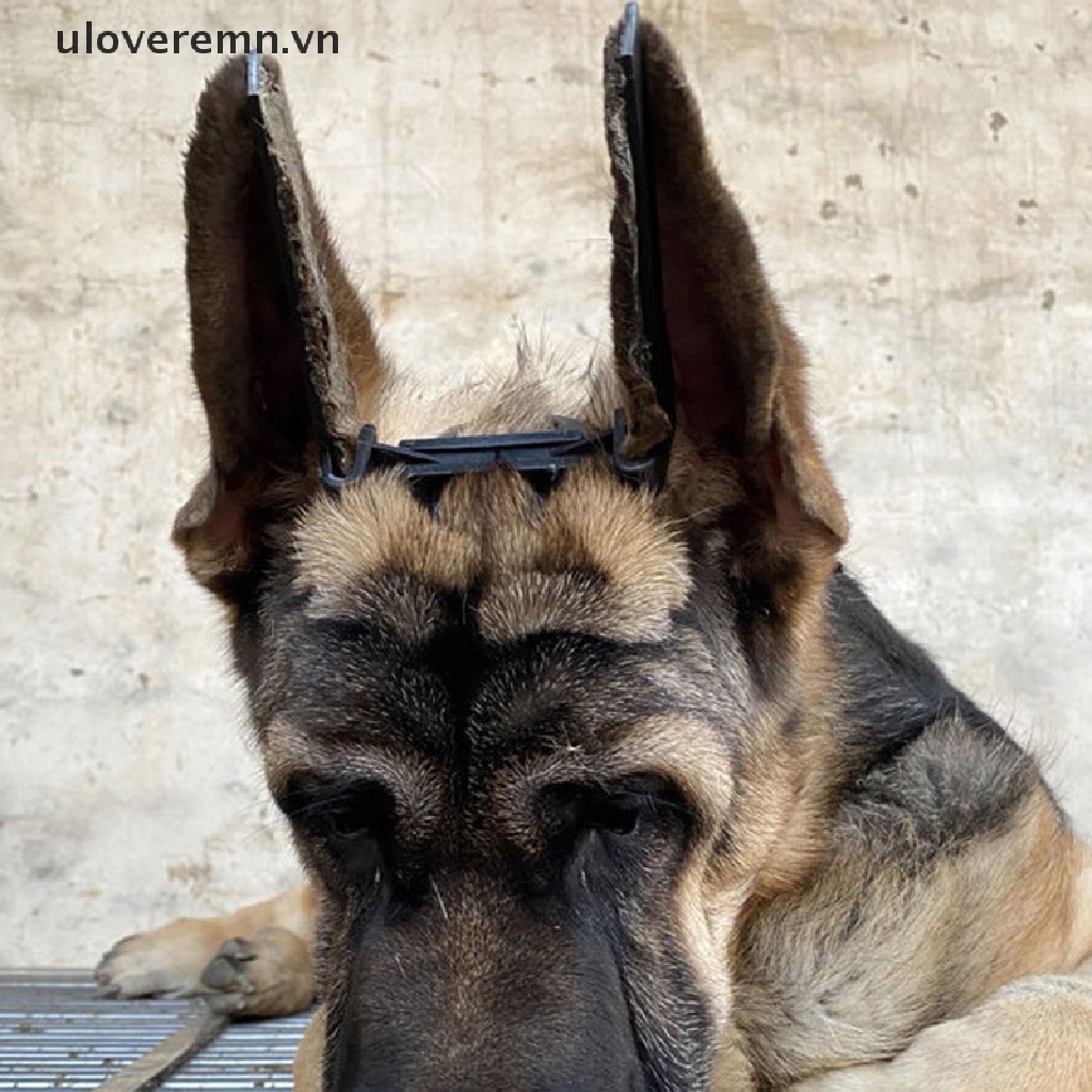 Giá Đứng Đỡ Tai Nghe Doberman Pinscher