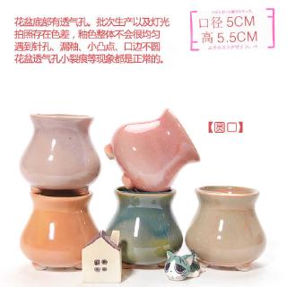 Chậu Gốm Sứ Mini Đựng Thực Phẩm Đa Ứng Dụng