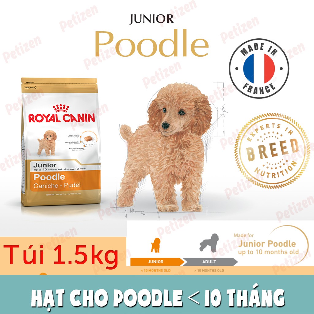 1.5Kg Thức ăn hạt khô Royal canin cho Poodle dưới 10 tháng